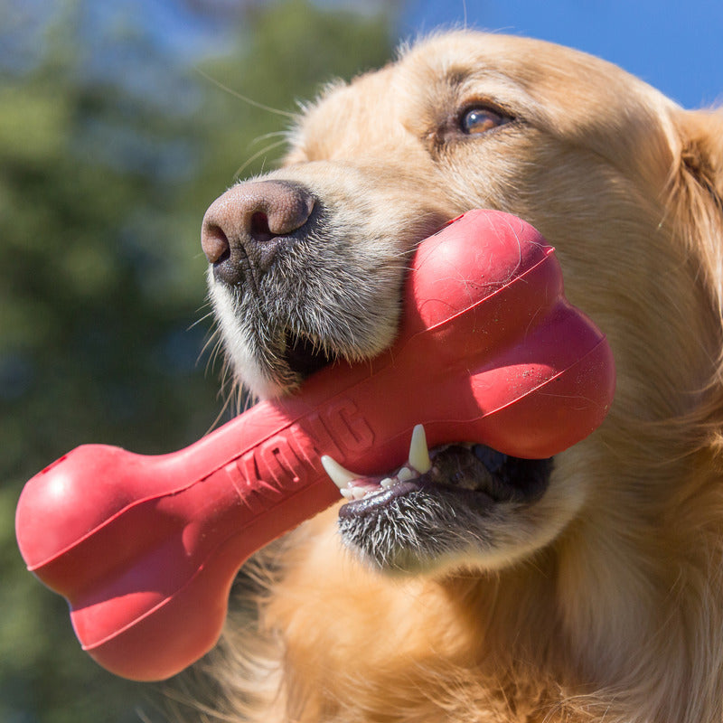 Hondenspeelgoed Kong hond goodie bone rood small