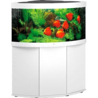 Aquarium Juwel aquarium Trigon 350 LED met filter, wit