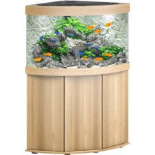 Aquarium Juwel aquarium Trigon 190 LED met filter, licht eiken