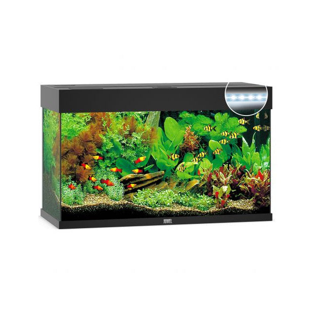 Aquarium Juwel aquarium Rio 125  donkerbruin