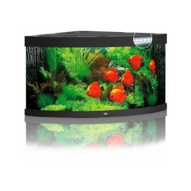 Aquarium Juwel aquarium Trigon 350 LED met filter, zwart.