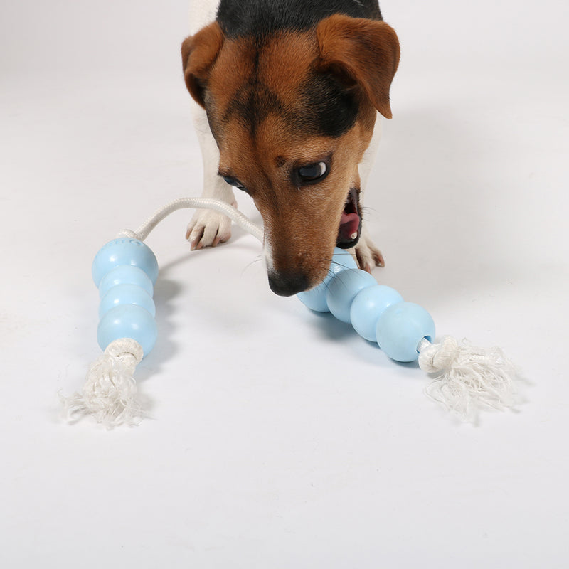 Hondenspeelgoed Petit kauwspeeltje pilou blauw