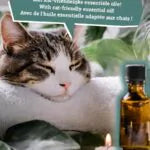 Kattenbakvulling Natural Wellness Meadow Breeze