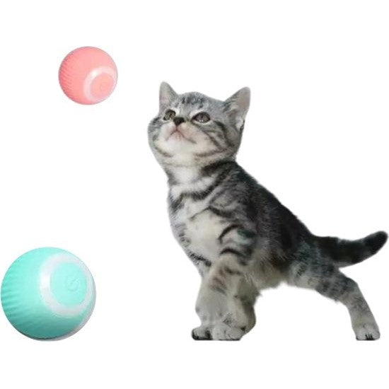 Kattenspeelgoe Interactiefd  Zelfrollende Bal voor Katten en Honden - Oplaadbaar - Blauw