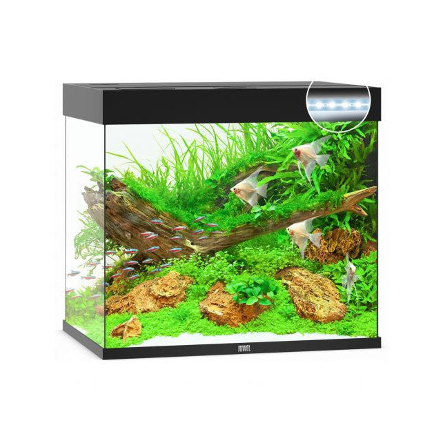 Aquarium Juwel aquarium Lido 200 LED met filter, zwart.