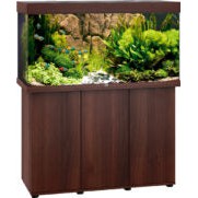 Aquarium Juwel aquarium Rio 350 LED met filter donkerbruin