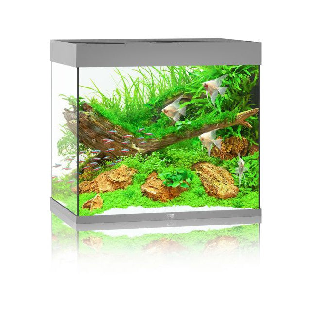 Aquarium Juwel aquarium Lido 200 LED met filter, grijs