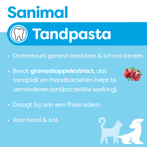 Tandenpoetsen Sanimal Honden Tandpasta