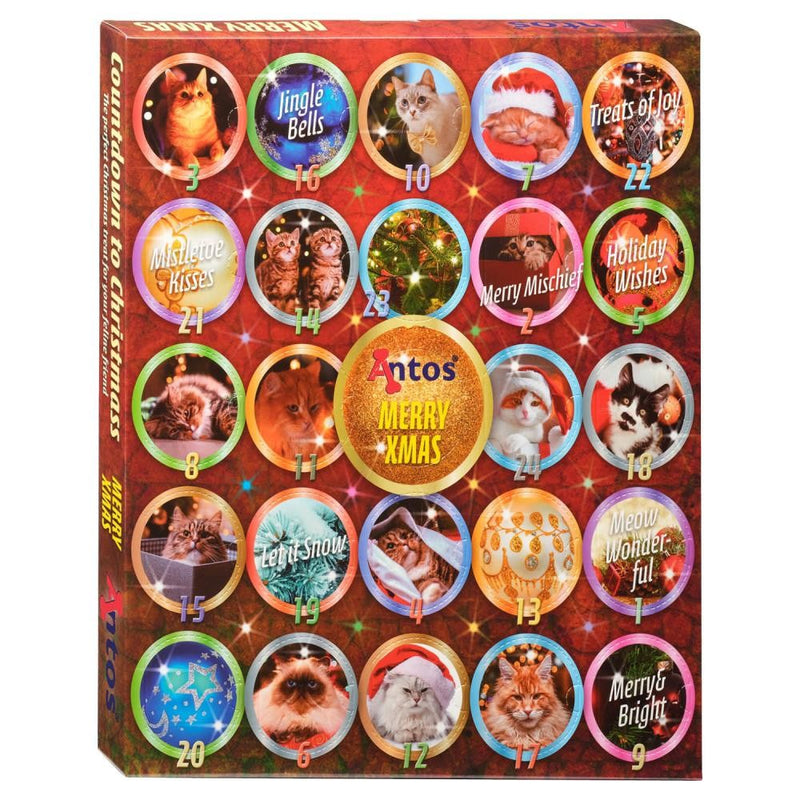 Christmas Advent Calendar 200 gr - Cats